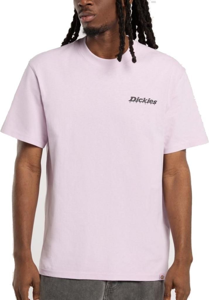 Dickies T-shirt DK0A87QPK731 in Pink color size medium