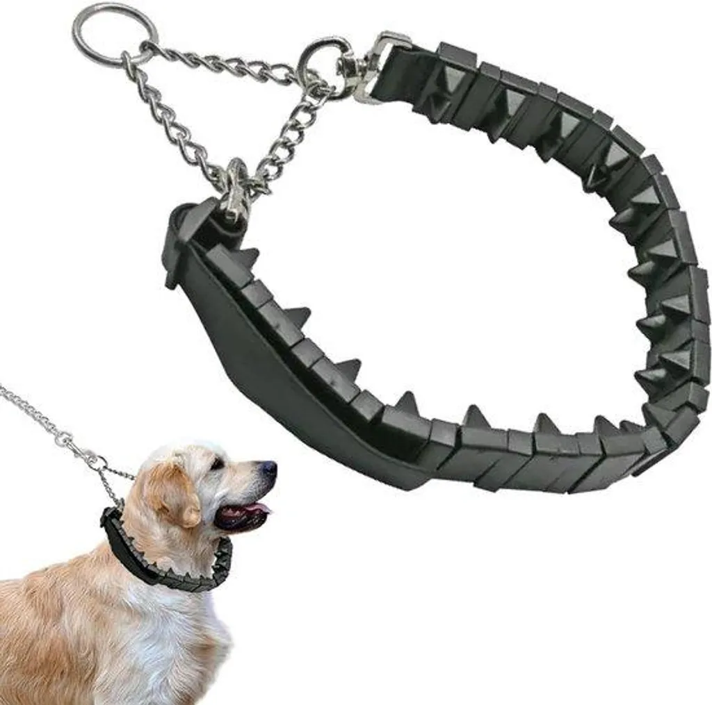Collier pour chaton en nylon souple réglable avec boucle de sécurité
