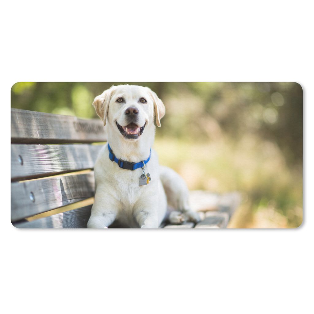 MuchoWow Mauspad Mousepad Labrador Retriever auf einer Bank 60x30 cm - Mousepads - Maus Mat - Pad - Mausunterlage - Nachhaltig
