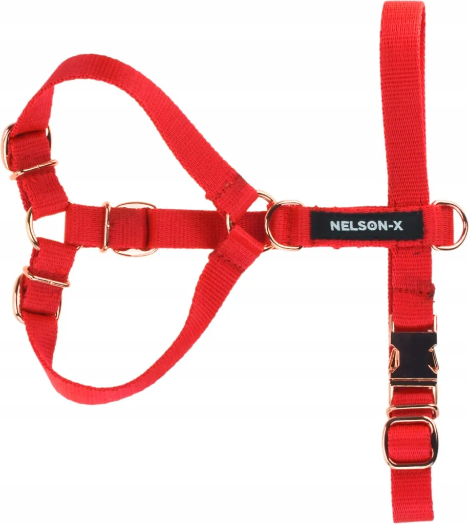 Pettorina Nelson-X Basic Goldie Oro XL | Eleganza e Robustezza per Cani