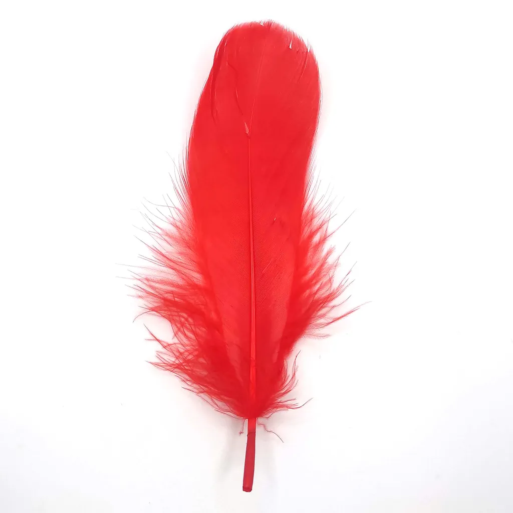 20 Gänsefedern Lockig, 15-18cm, Unterschiedliche Farben DIY Deko Federn 700090199 34591