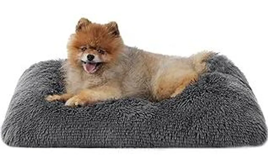 Cuccia Cani Piccoli 61x45x8 cm Grigio Scuro | Letto Antiscivolo Lavabile