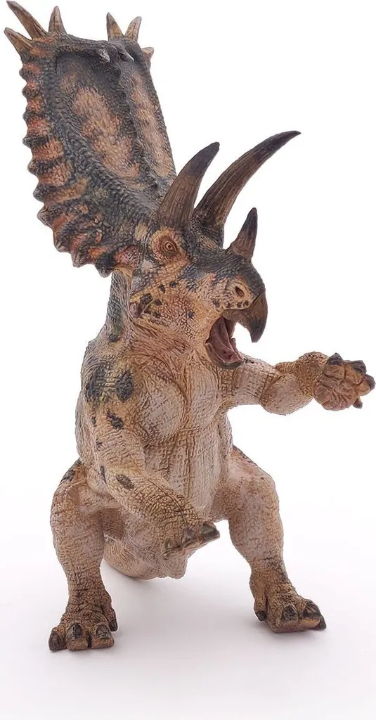 Pentaceratops détaillé avec collerette ornée pour décor de vitrine