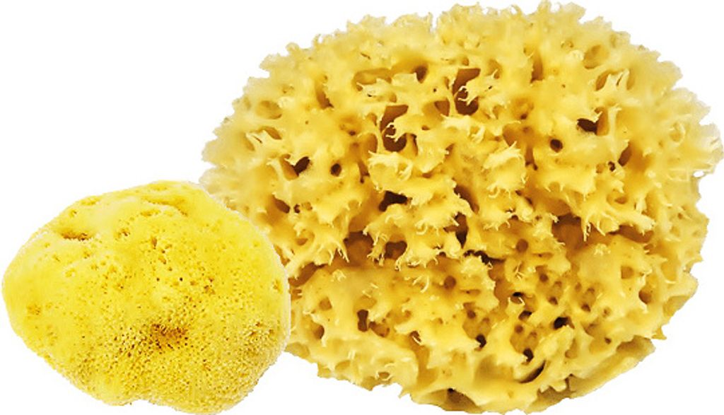 Croll & Denecke Naturschwamm 14cm M140 Produktbild 