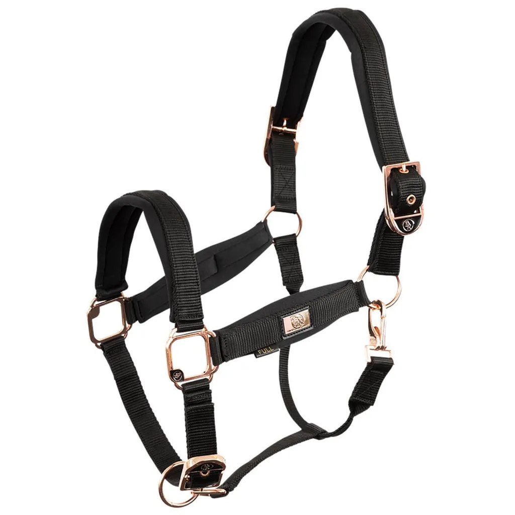 Licol Poney BR Solide et Ajustable Noir Rose Or - Fini les Licols Ternes