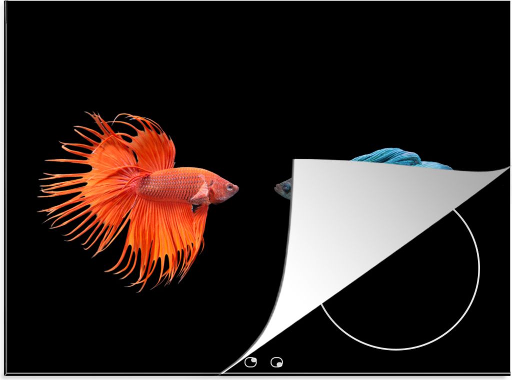 KitchenYeah© Herdabdeckplatte Fische - Wilde Tiere - Produktbild 