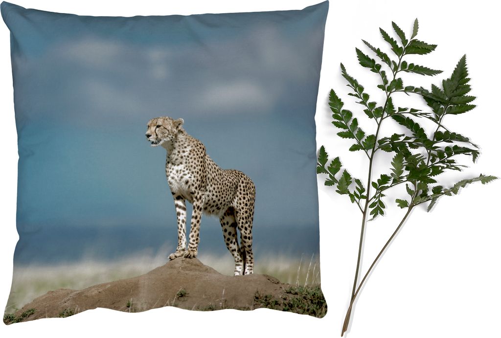 MuchoWow Leopard - Leopard auf der Suche - 40x40 cm - Sofakissenbezüge - ohne füllung