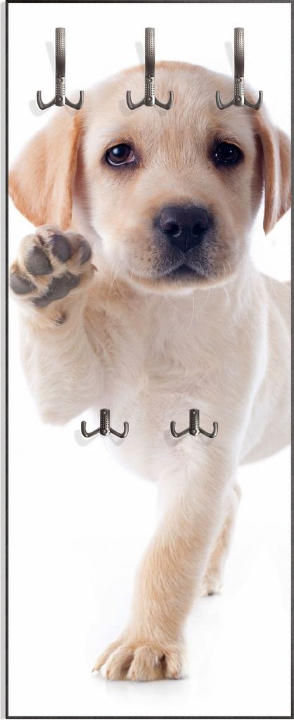Wallario Flurgarderobe Wandgarderobe aus Holz, mit 5 Haken, Größe 50 x 125 cm, Motiv Süßer Labrador-Welpe sagt Hallo
