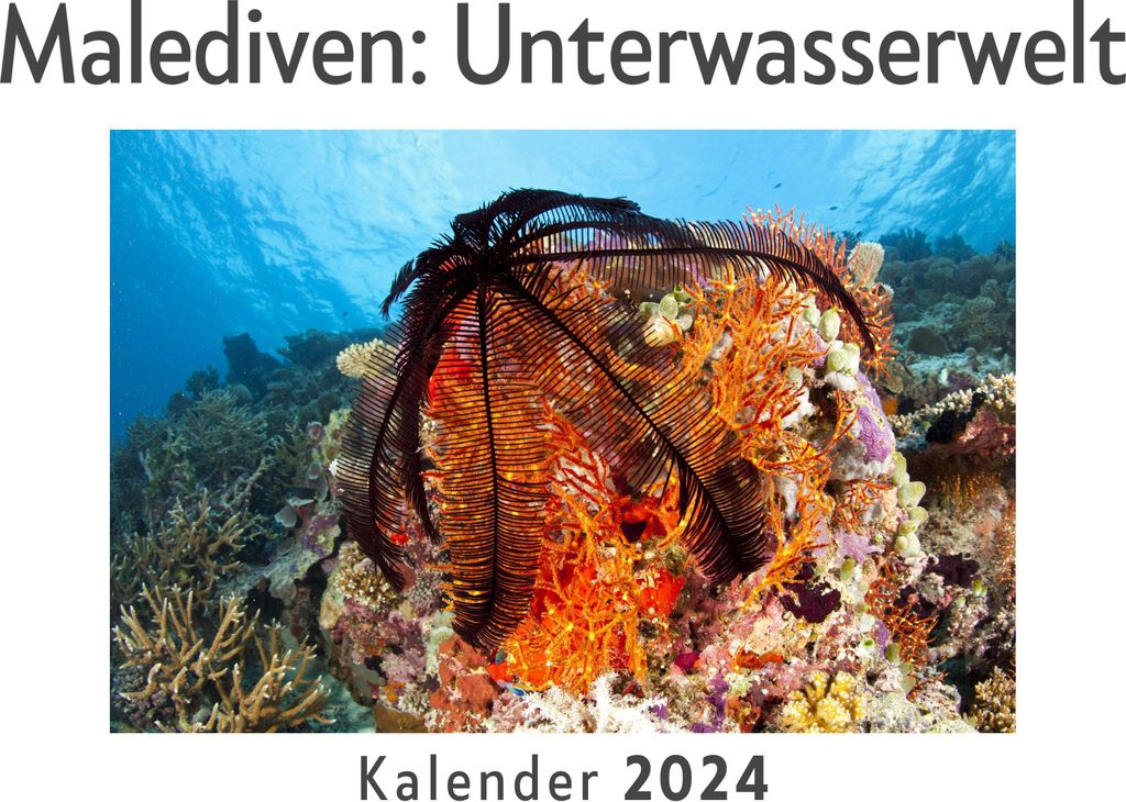Malediven: Unterwasserwelt (Wandkalender 2024, Kalender DIN A4 quer, Monatskalender im Querformat mit Kalendarium, Das perfekte Geschenk)