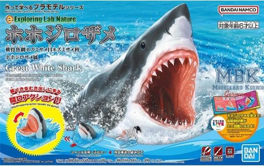Grand Requin Blanc Bandai BAN2605762 - Maquette Anatomique sans Colle