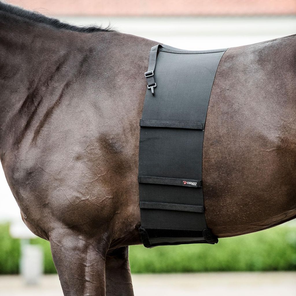 Catago Body Shield - Körperschutz für Pferde - schwarz - M - 185 cm
