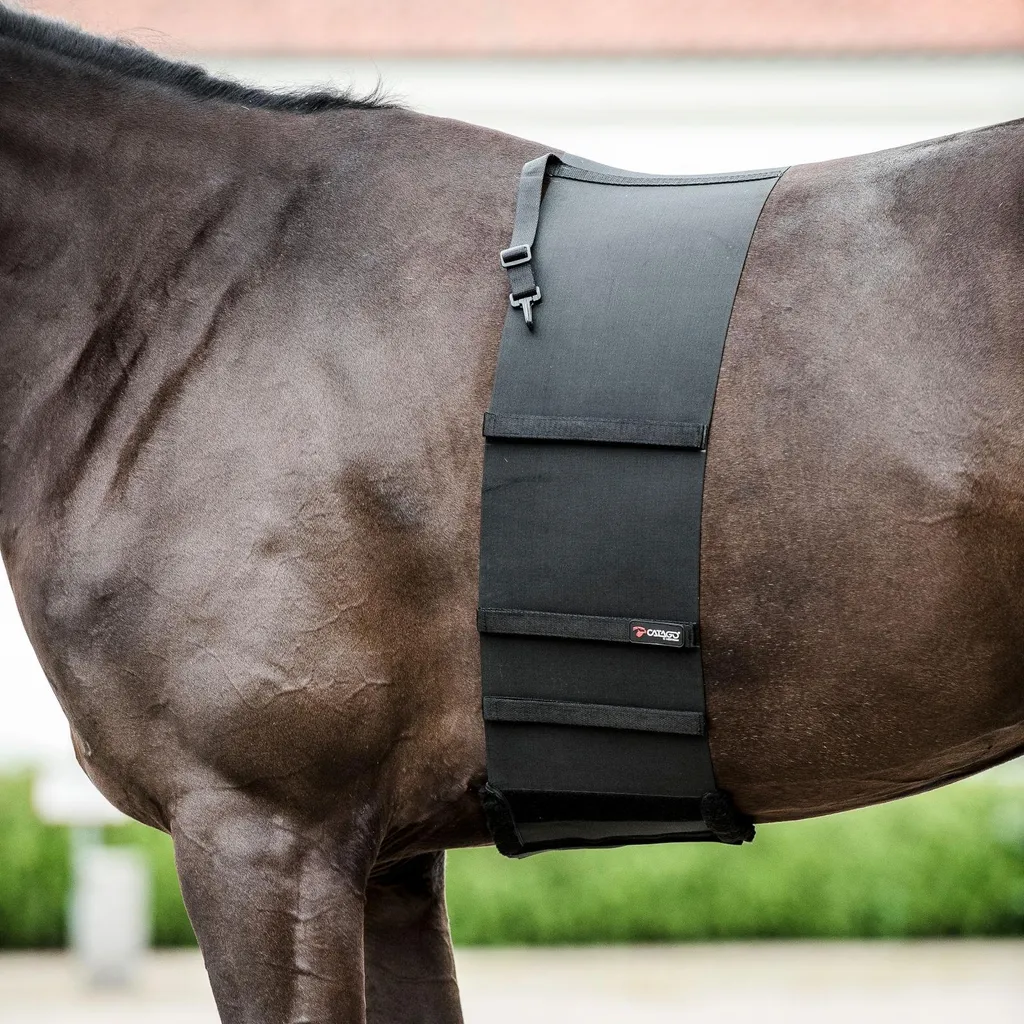 Catago Body Shield S 170 cm Noir - Protéger les Flancs de son Cheval