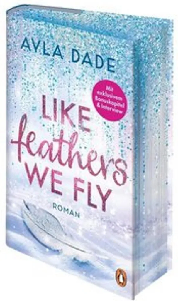 Toile Canvas Like Feathers We Fly - Impression HD Premium - Cadre Noir Loft