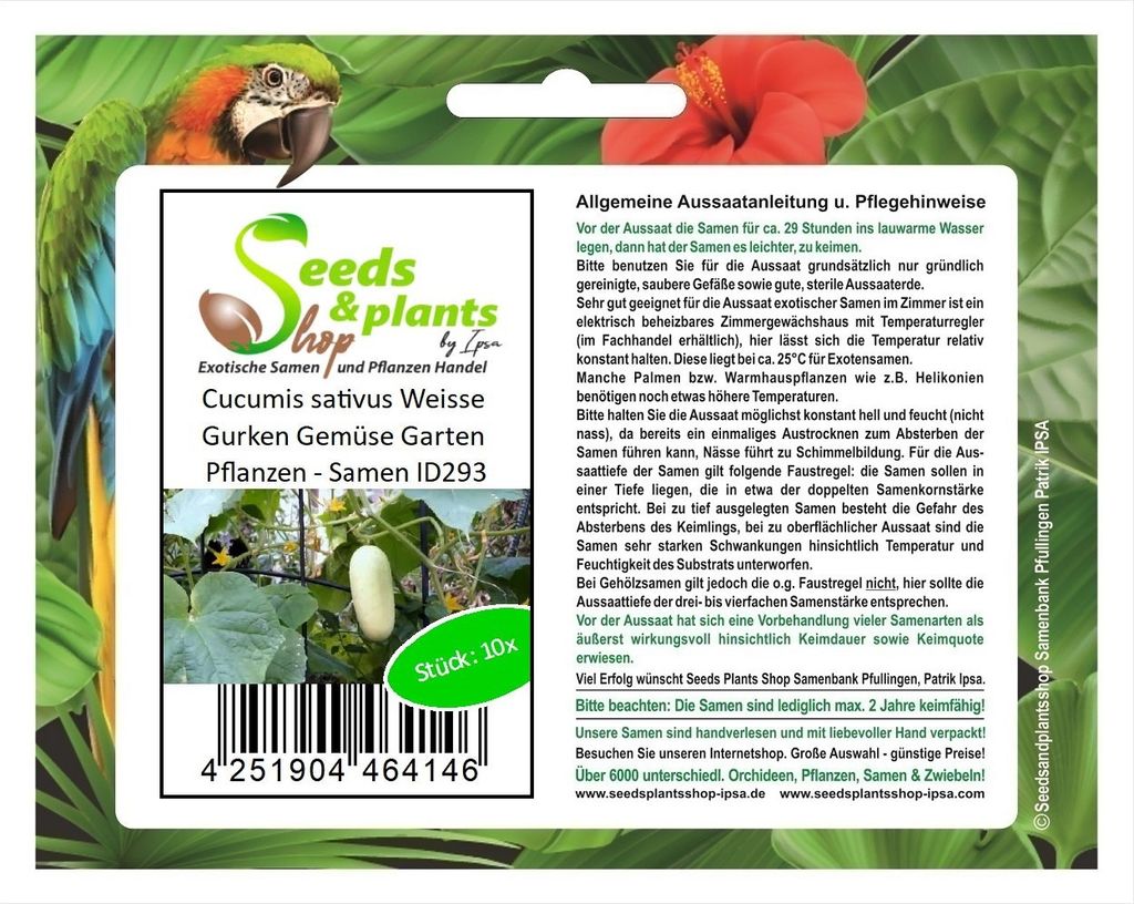 10x Cucumis sativus Weisse Gurken Gemüse Garten Pflanzen - Samen ID293