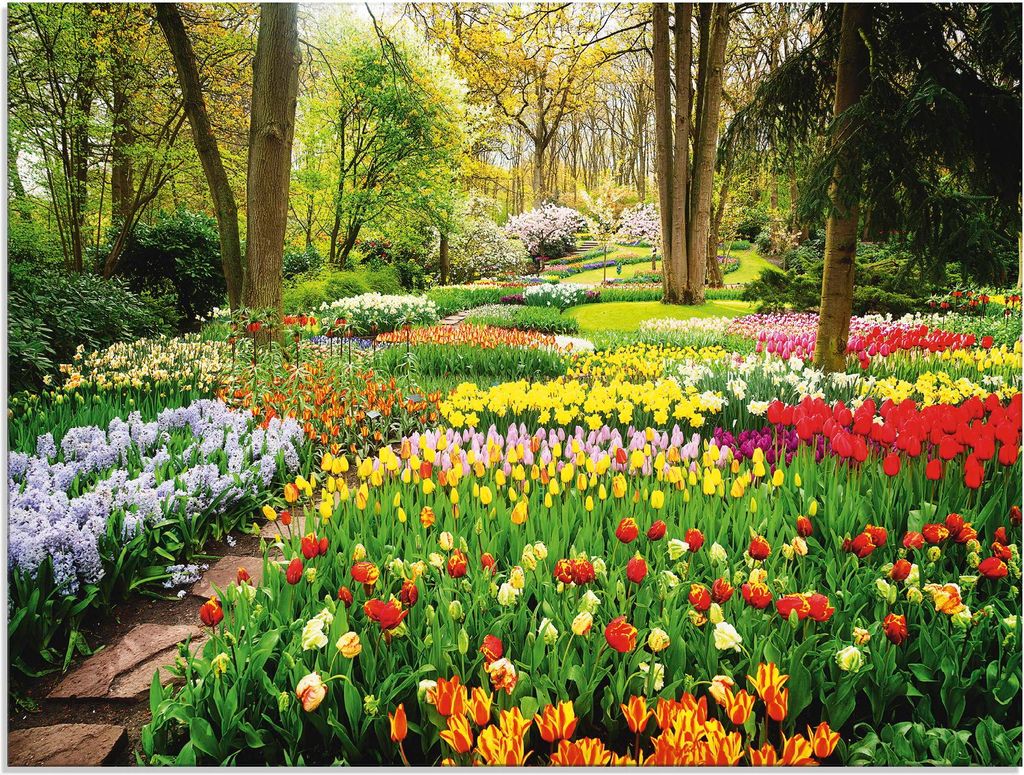 ARTland Glasbild Tulpen Garten Frühling Größe: 80x60 cm