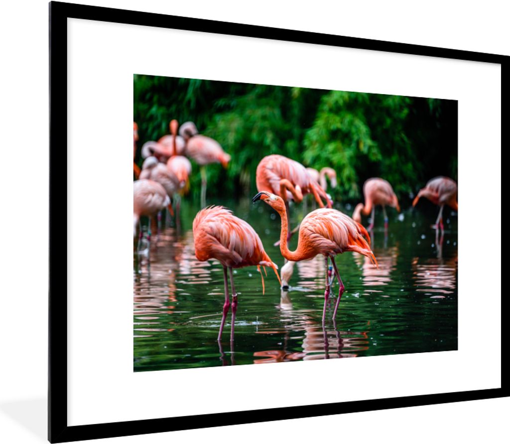 MuchoWow® Gerahmtes Poster Flamingo - Tropisch - Vogel - Produktbild 