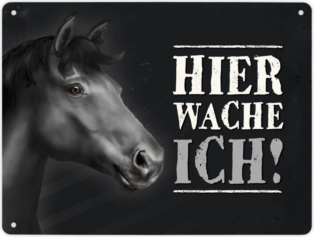 Hier wache ich! Metallschild XL mit Pferd Motiv Schild Blechschild