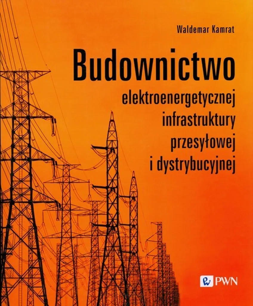 Maîtrisez le transport d'électricité : Ouvrage de Waldemar Kamrat PL