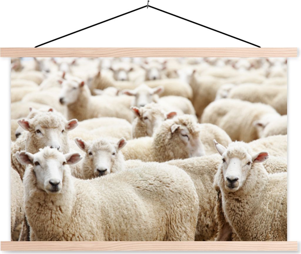 MuchoWow Textilposter Schafe - Wolle - Weiß 120x80 cm mit holzfarbenen Rahmen - Aufhängeset