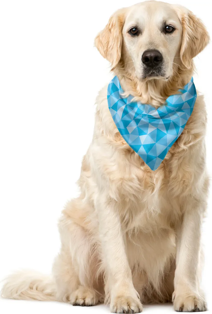 Bandana Cane ABAKUHAUS Polygonen 40x40 cm Azzurro Celeste - Shop Online