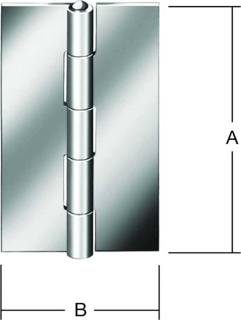VORMANN Tür-Scharnier schmal B34xH60mm,gerollt blank