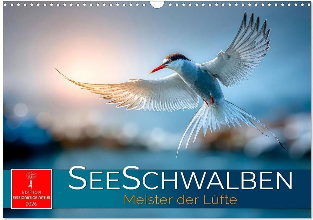 Seeschwalben - Meister der Lüfte (Wandkalender 2026 DIN A3 quer), CALVENDO Monatskalender
