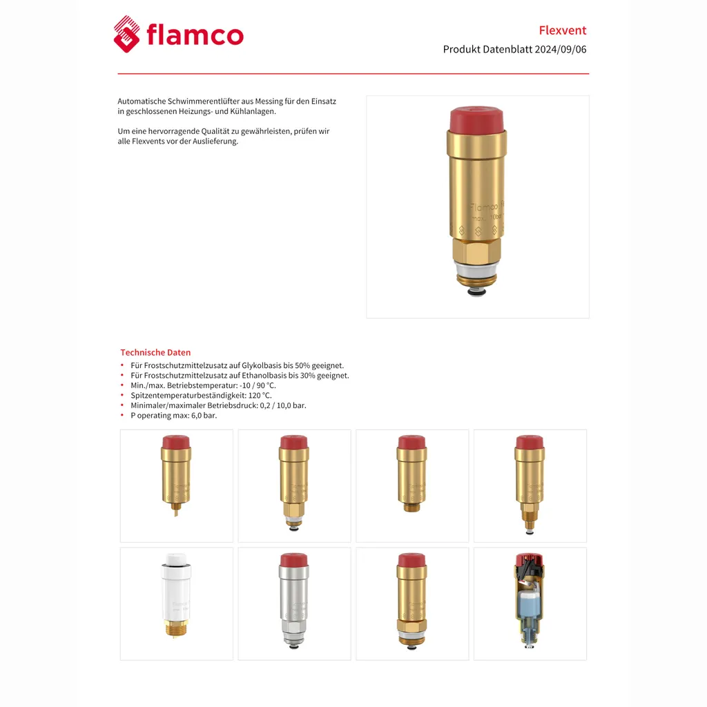 Aalberts Flexvent 3/8 : Purgeur en Laiton Robuste pour Circuit d'Eau - 5