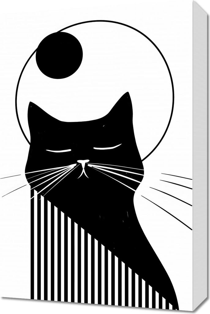 Bild 40x60cm Nachtlicher Vibriender Miau