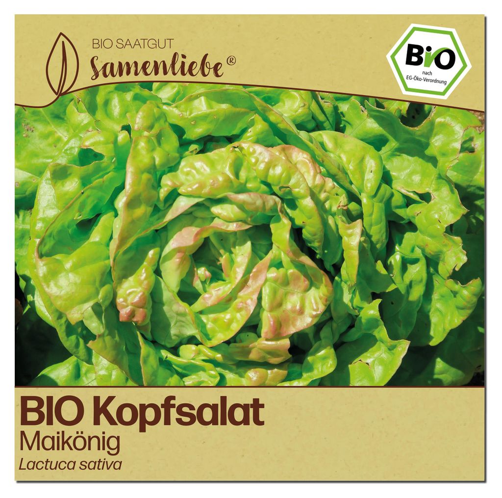 Samenliebe  Salat Samen | Maikönig - winterhart & frühe Produktbild 