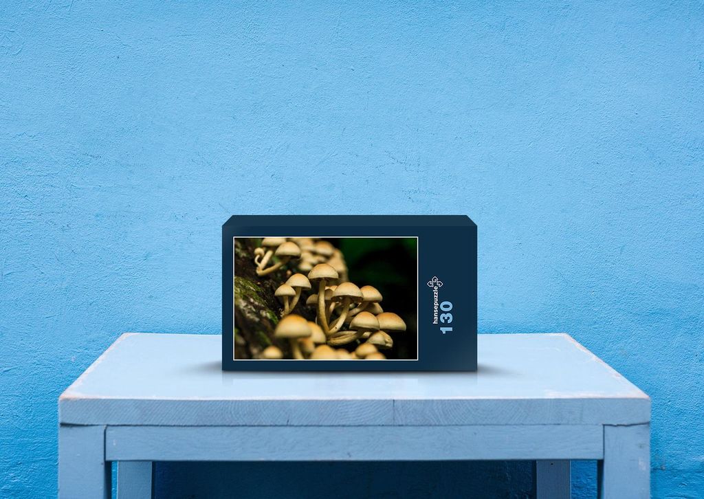 hansepuzzle 40342 - Pilze Puzzle, 130 Teile, Ernährung, 28,7 x 20,0cm mit hochwertiger Aufbewahrung, Kartonbox und wiederverschließbarem Beutel