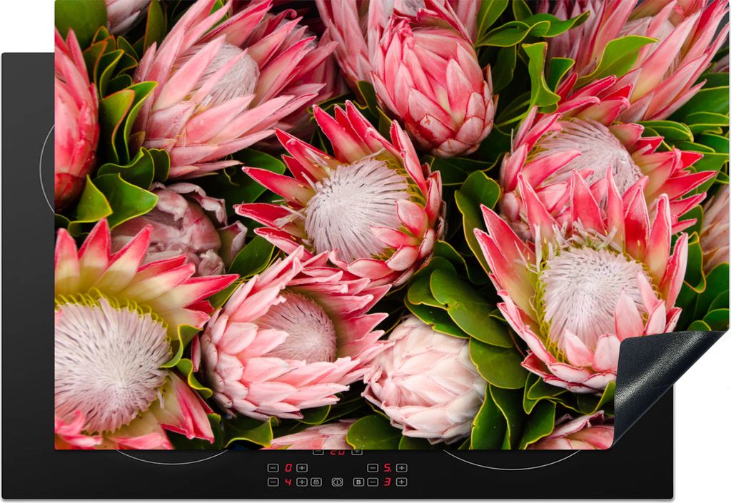 KitchenYeah Herdabdeckplatte Blumen - Rosa - Protea , 78x52cm, Küche Deko, Glaskeramikkochfeld Herdabdeckung, Abdeckplatte fùr Kochfeld