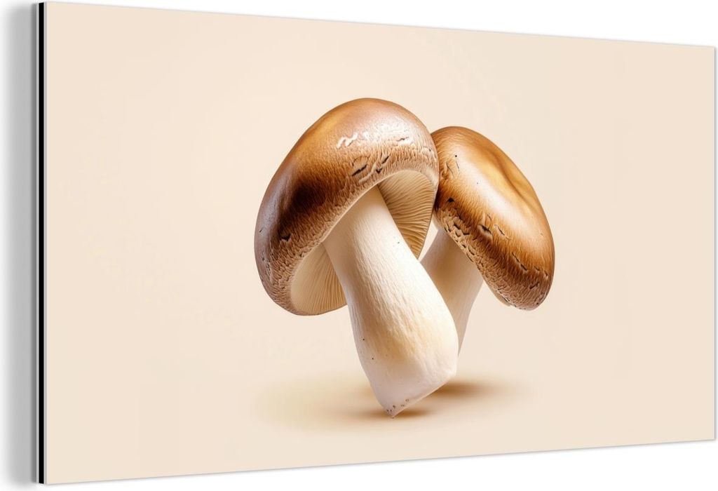 MuchoWow Wanddekoration Metall Metallbild Wandkunst 40x20 cm Pilze - Weich - Beige MuchoWow Aluminium Gemälde - Bild - Aluminium