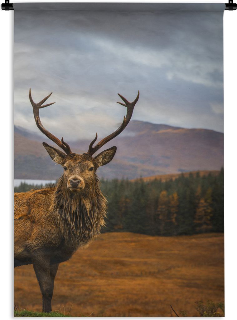 MuchoWow Wandteppich Wandbehang Hirsche - Berge - Wasser - Landschaft - Tiere - Bäume 60x90 cm Tapisserie Dekoration Wandtuch - Foto-Teppich - A...