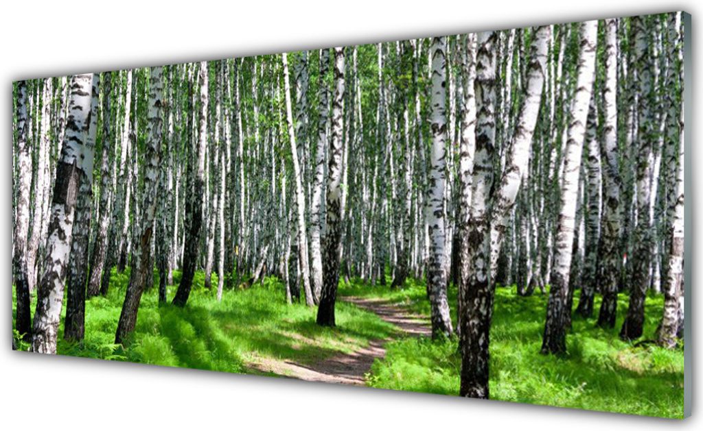 Küchenrückwand aus Glas 125x50cm Spritzschutz Bäume Gras Natur