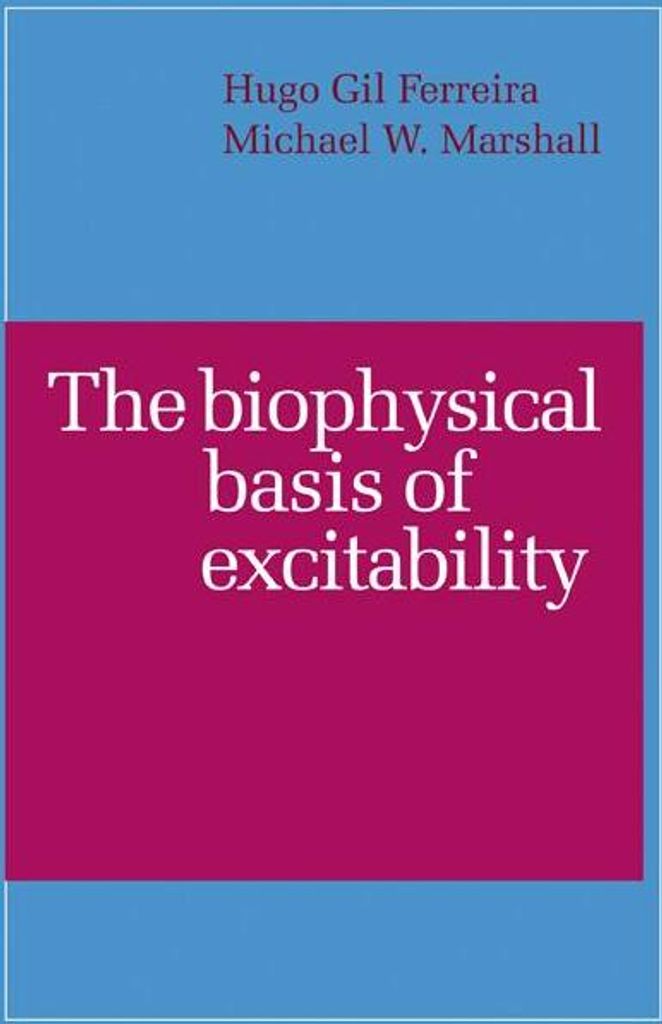 The Biophysical Basis of Excitability