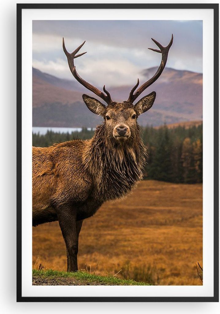 Gerahmtes Poster - Schwarzer Rahmen - Rehe Wiese Berge - 61x91,5 cm - Wand Bild - Wanddeko - Wandbilder - Kunstposter - Wandposter - Bilderrahmen -...
