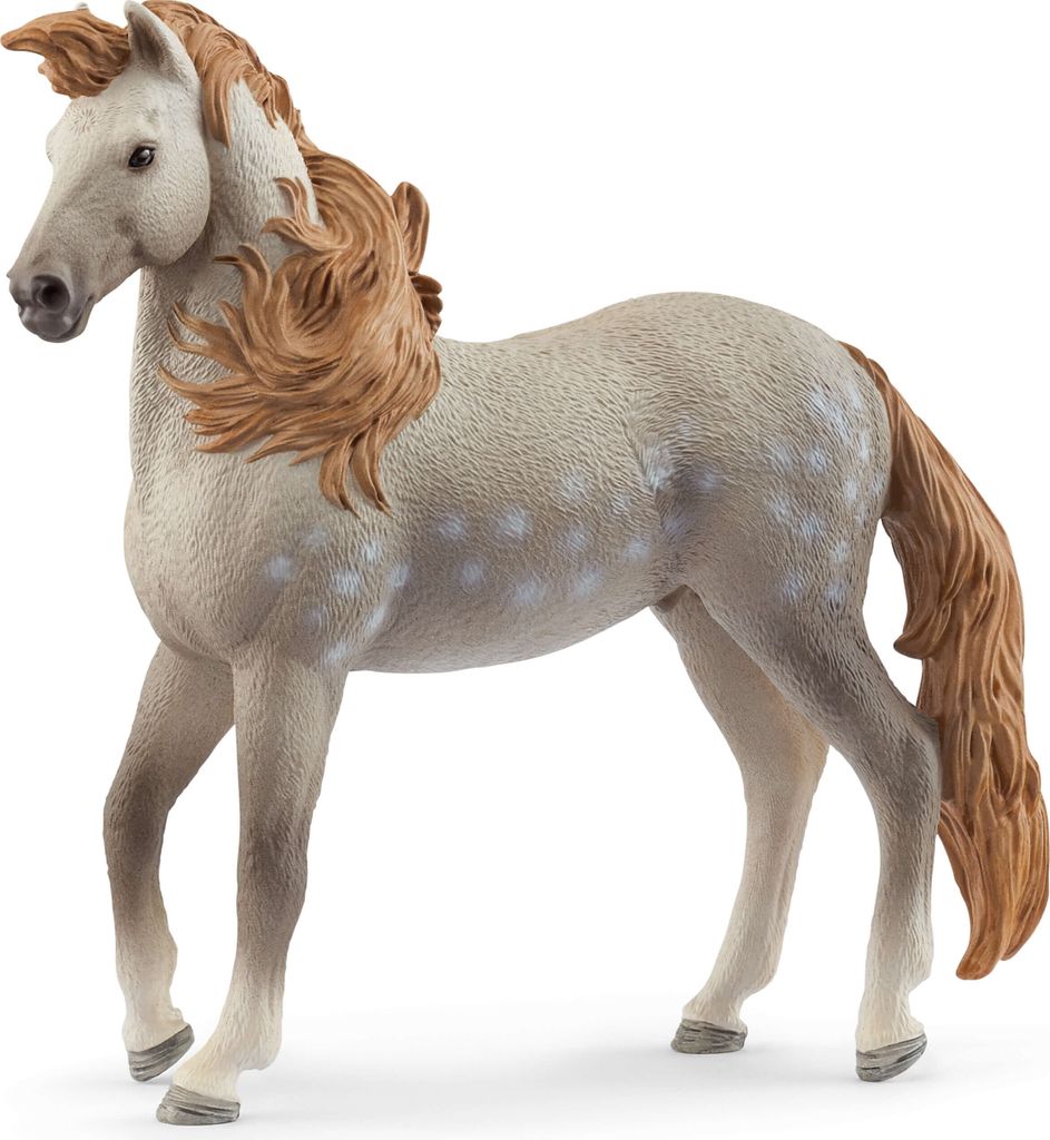 schleich HORSE CLUB Andalusier Hengst, 5 Jahr(e), Horses, Produktbild 