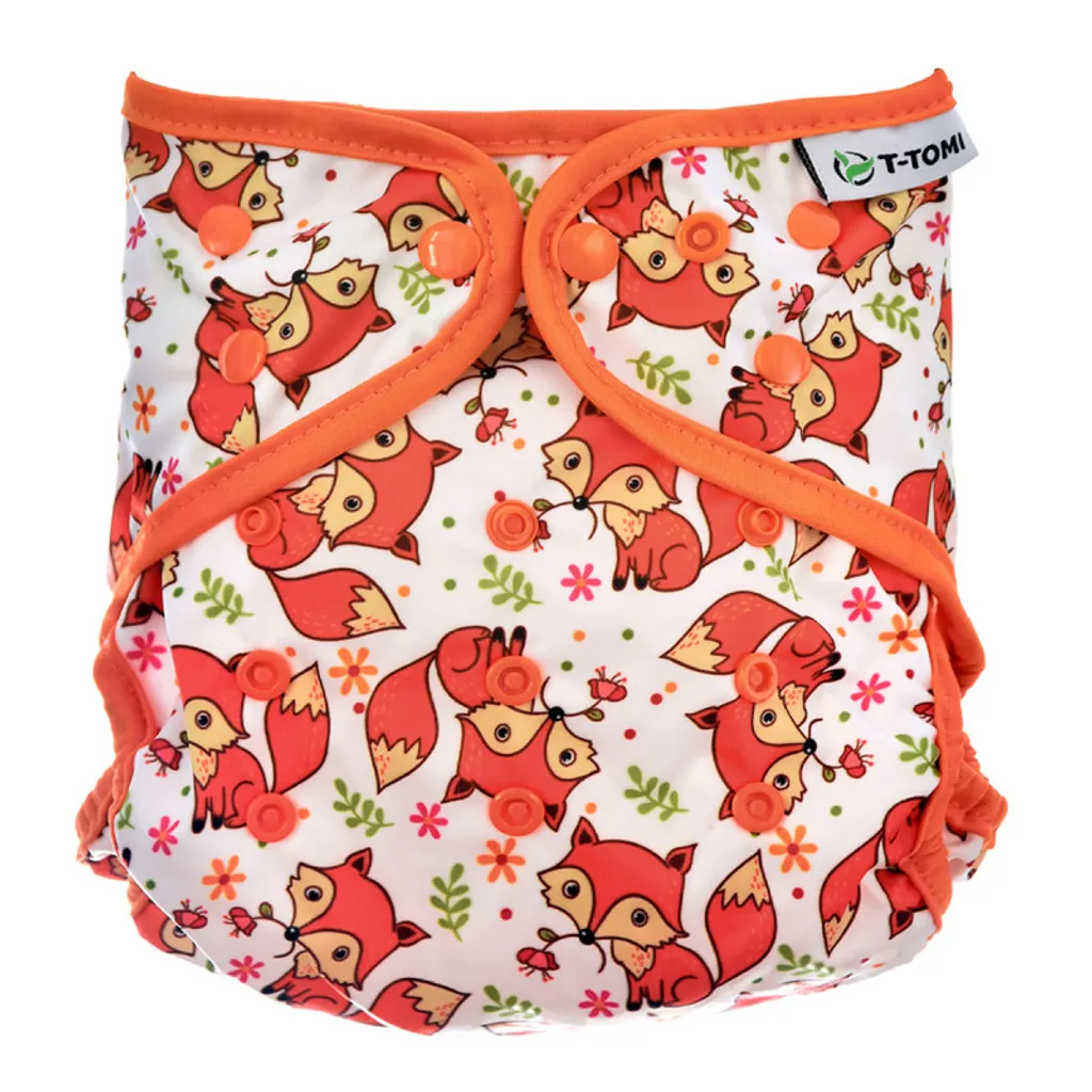 Slip Sexy Pizzo e Volpe: Intimo Donna Comfort e Trasparenza