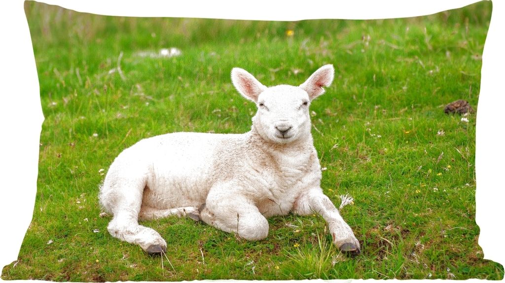 MuchoWow Zierkissen Sofakissen Wohnzimmer Dekokissen 50x30 cm Schafe - Tiere - Lamm - Wohnzimmerdekoration - Polster mit Photo