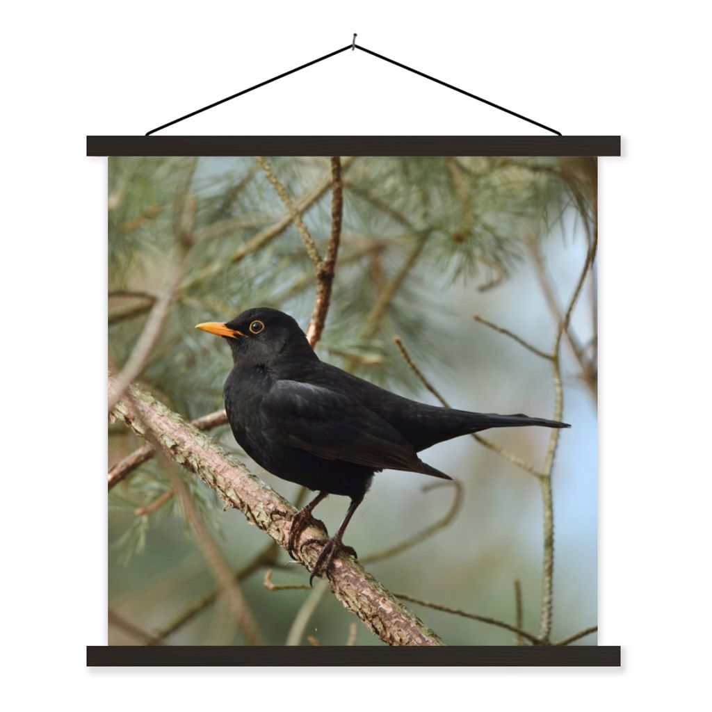 MuchoWow Textilposter Vogel - Amsel - Zweige - Tiere 120x120 cm mit schwarzem Rahmen - Aufhängungsset