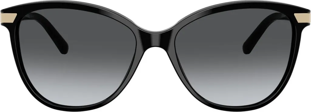 Finissez-en avec l'éblouissement : Burberry BE 4216 Verres Polarisés