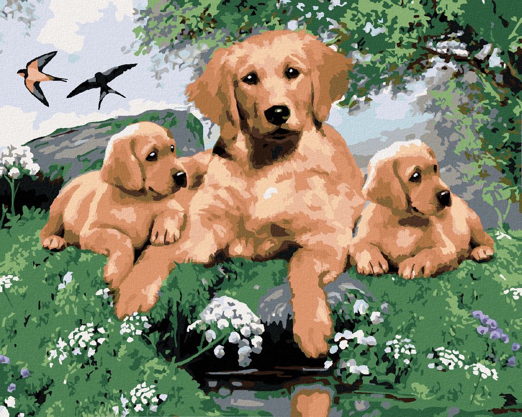 Zuty - Malen nach Zahlen - GOLDEN RETRIEVER UND WELPEN (HOWARD ROBINSON), 40x50 cm, mit Keilrahmen (bereits gespannt)