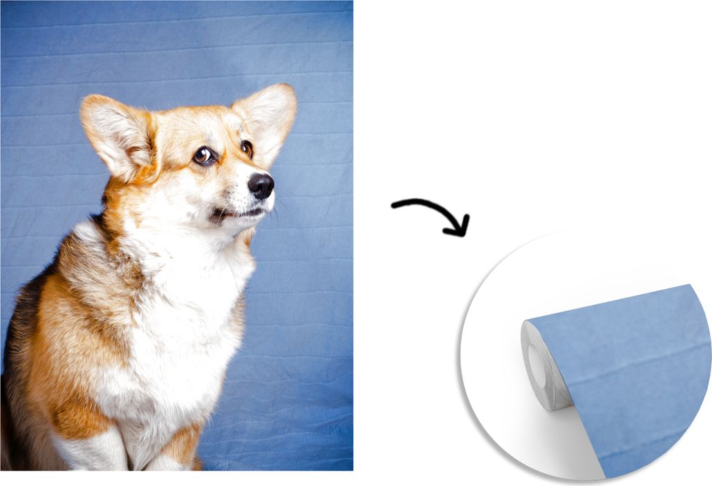 MuchoWow Fototapete für Wohnzimmer oder Schlafzimmer Wandtapete Vinyl Motivtapete Trauriger Corgi - 220x260 cm - Vinyl-Tapete