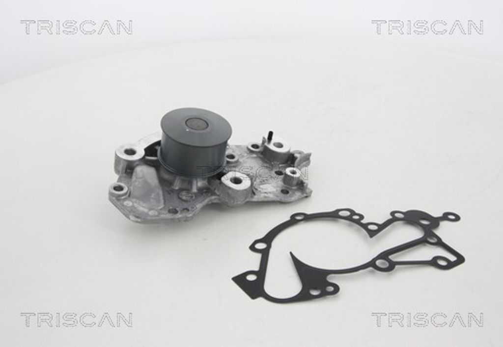 TRISCAN Wasserpumpe 8600 43015