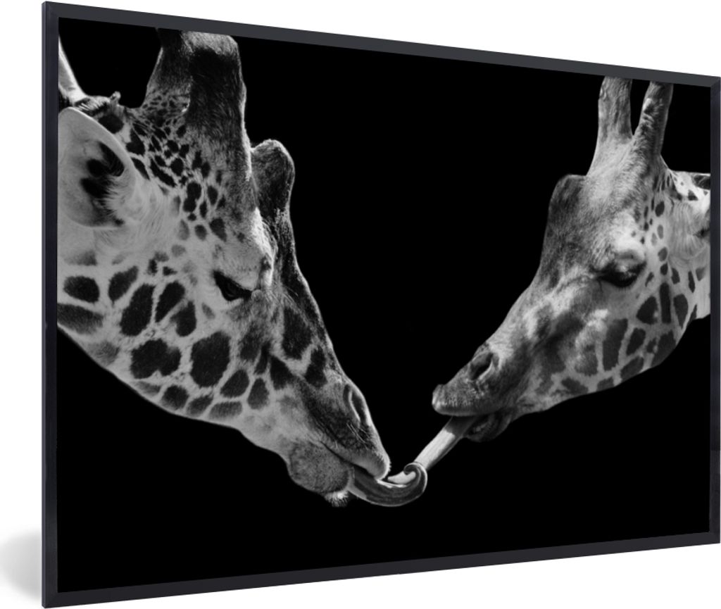 MuchoWow Gerahmtes Poster Tiere - Schwarz - Giraffe - Weiß - Porträt 90x60 cm - Poster mit Schwarzem Bilderrahmen Wandposter Rahmen Foto Bilder...