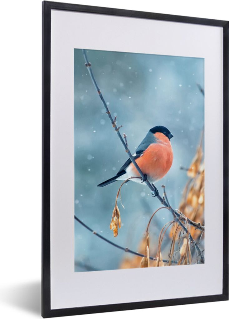 MuchoWow Gerahmtes Poster Rotkehlchen - Vogel - Schnee - Herbstliche Blätter 40x60 cm - Poster mit Schwarzem Bilderrahmen Wandposter Rahmen Foto...