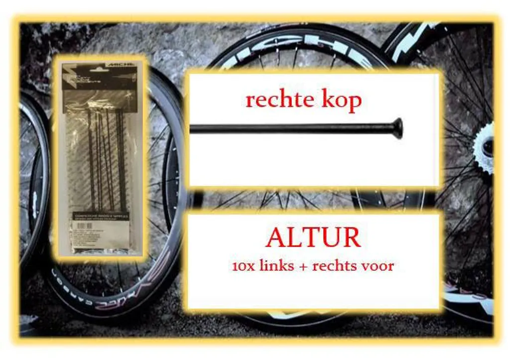 Kit de Rayons de Rechange Miche Spoke 10x LV RV Altur avec Ecrous Noir