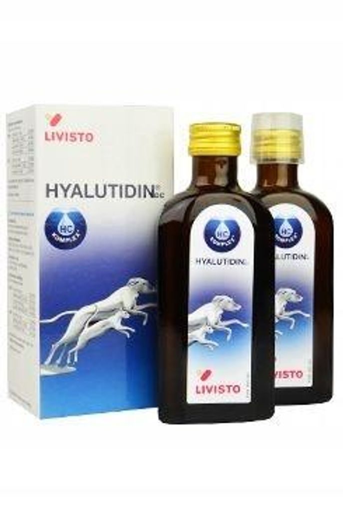 Livisto Hyalutidin DC 2x125 ml | Beweglichkeit bei Hunden & Produktbild 