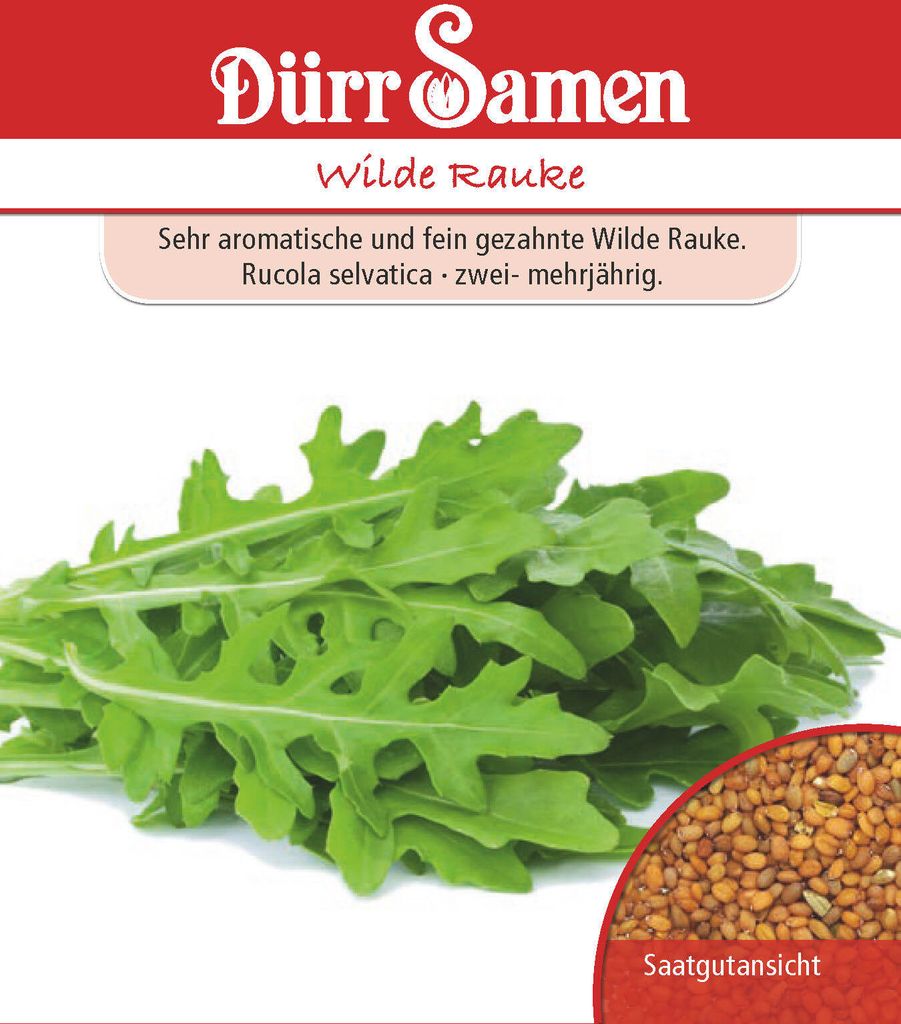 Artikelbild 1 von 'Wilde Rauke' aus der Kategorie Rucola- / Raukesamen