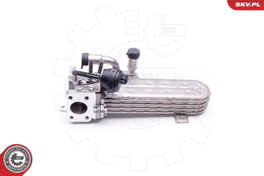 ESEN SKV 14SKV138 AGR Kühler für VW Golf V Schrägheck (1K1) Abgasrückführung